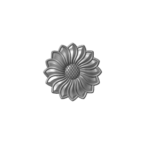 3D C1A